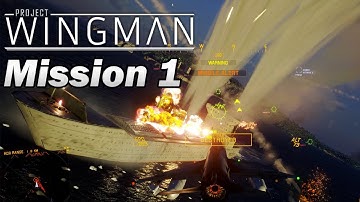 Project Wingman Playthrough - Mission 1: Black Flag (MERCENARY Difficulty) Single Plane Challenge 4K