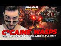 THEY'RE BETTER THAN C*CAINE ANTS!  - PoE 2 Raging Wasps Build Guide