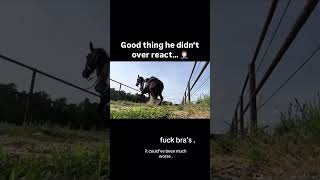 Be vigilant out there, friends, things can go haywire any second