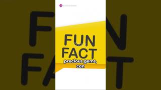 🎬 30 Seconds of Entertainment! Quick-Fire Fun Facts You Need to Know! #shorts