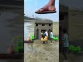 Creative potato car videography ideas #short #videos #magazine crazy funny #videography 
