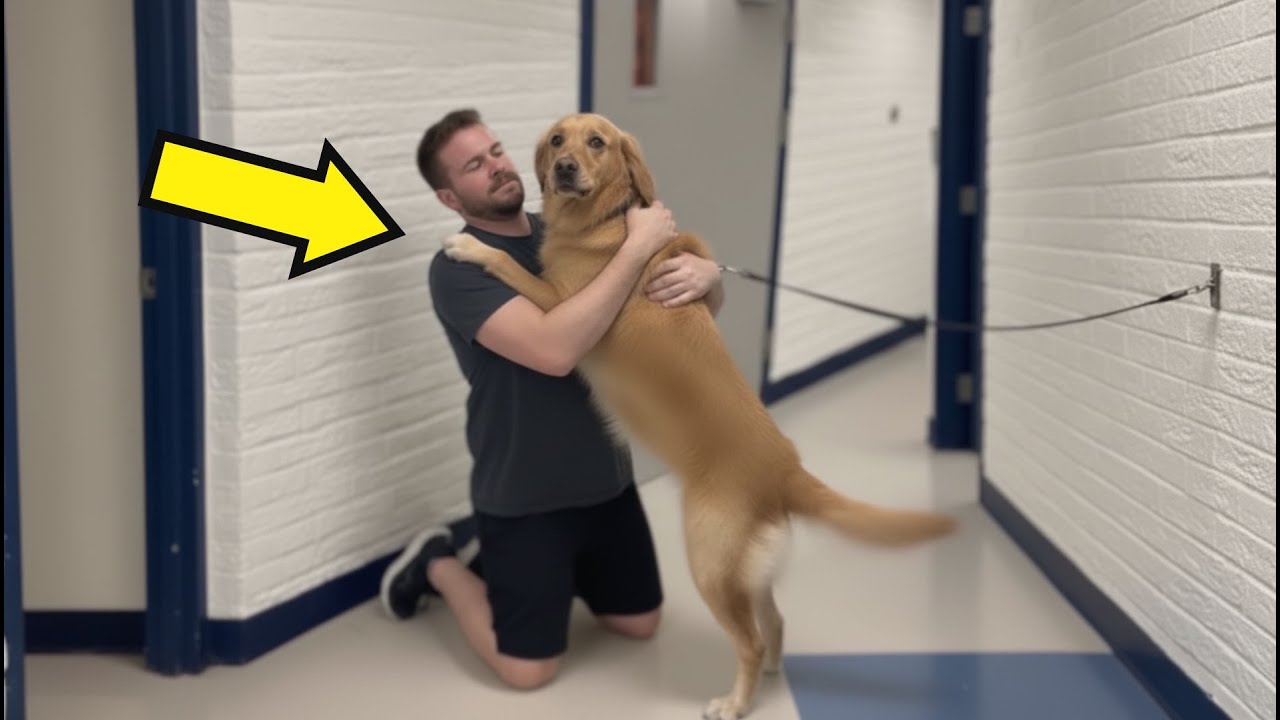 This Shelter Dog Reunites With His Best Friend After 8 Years Apart — Then This Happened