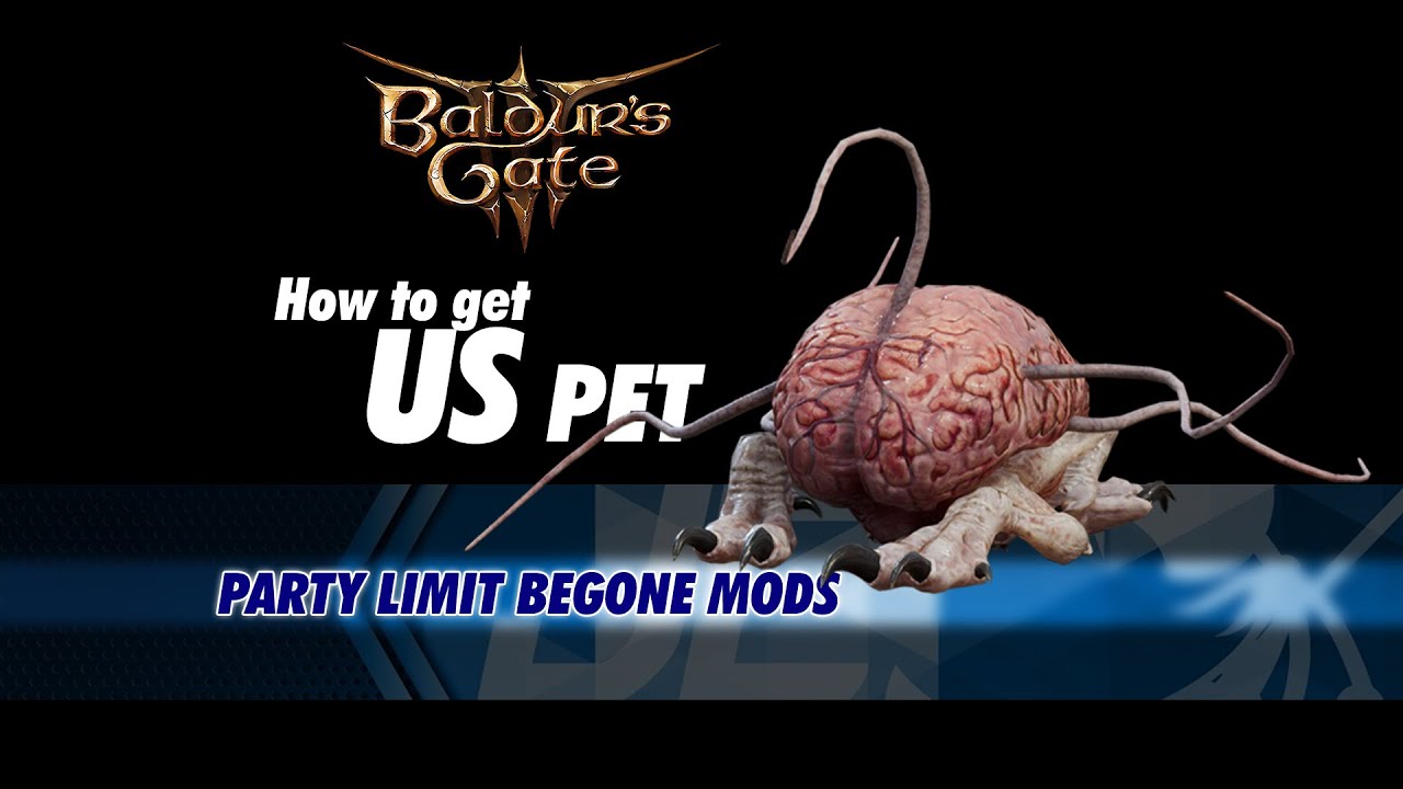 How To Summon US Pet (Baldur's Gate 3) Party Limit Begone Mods
