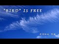 &ldquo;BIRD&rdquo; IS FREE クラリネットソロ
