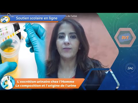 Vidéo: Protéine Dans L'urine Chez L'homme