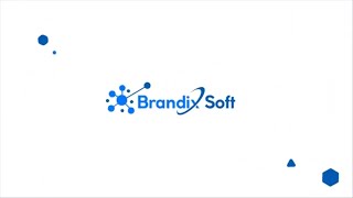 Client Review # 4 | Brandix Soft SEO Services screenshot 4