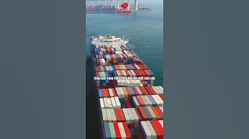 Cảng Hồng Kông & những điều bạn chưa biết #hongkong #tintuc #viethuonglogistics #logistics #xuatkhau