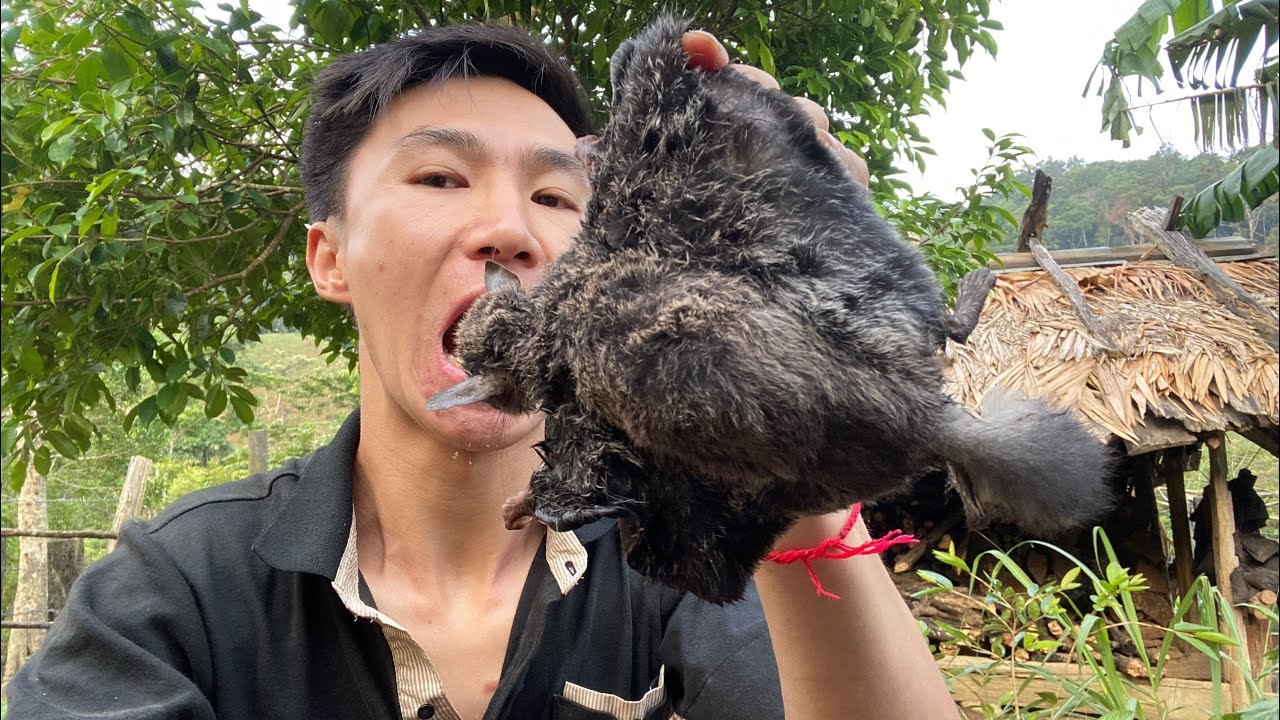 Survival Cook flying squirrels with rice YouTube