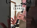 瞳は宇宙(コスモス) 燕奈緒美、真由美 ワンダービートスクランブル アニソン アルトリコーダー alto recorder