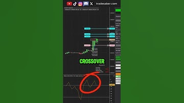 Automate Indicator Plots with PredatorX | NinjaTrader  #tradesaber #automatedtrading #ninjatrader