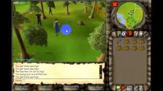 2005Scape Start off