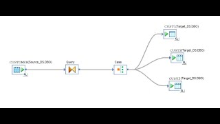 8.SAP BODS: Case Transform I