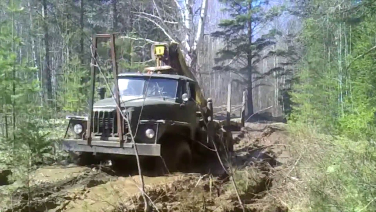 Машина зверь 5