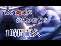 [プロセカ]どんな結末がお望みだい?1時間耐久