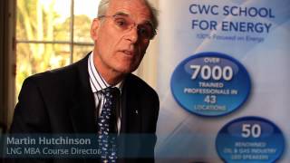 LNG Mini MBA in Project Development - Economic Model
