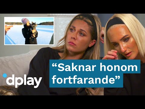 Video: Hur man gör ett proteinförpackat jordnötssmörkaka för din valpkärlek