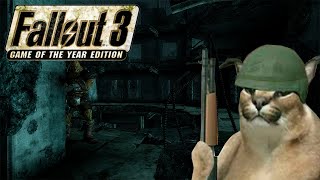 [(Не)воскресный Fallout] Fallout 3 - Добро пожаловать в Дюпон-Сёркл!