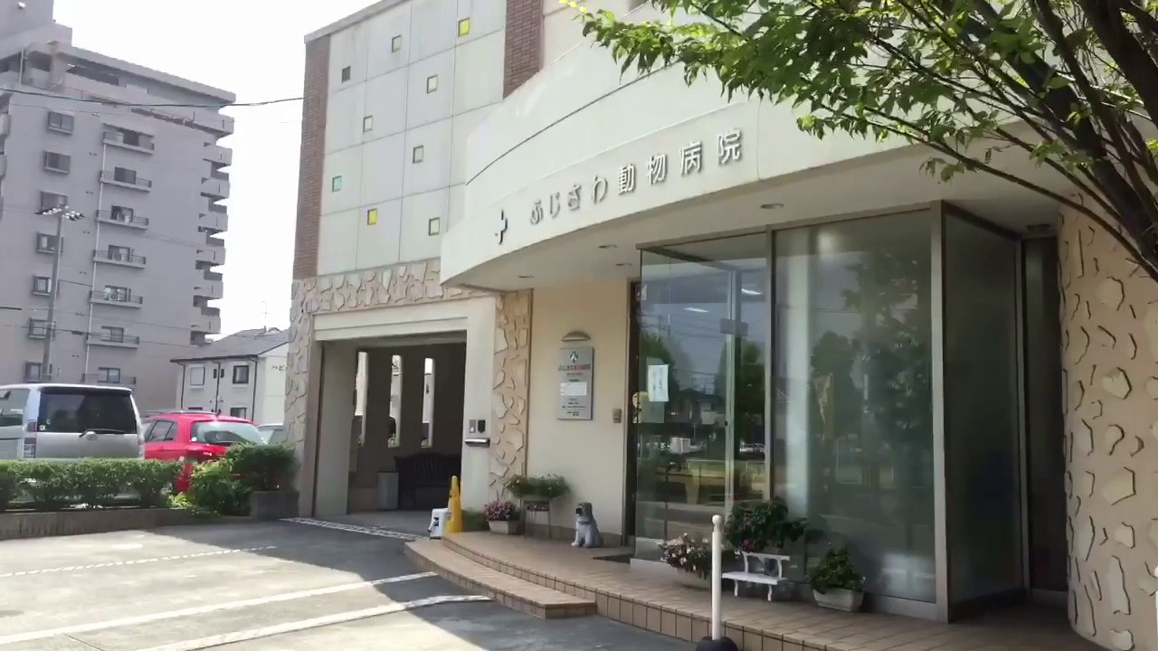 ふじ さわ 動物 病院