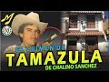Video de Tamazula