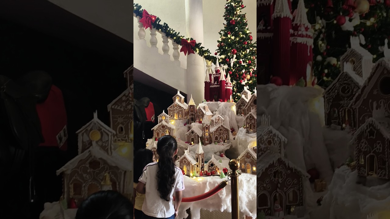 Beautiful Christmas Decoration😍