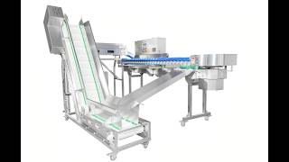 Automatic Whole Chicken Weight Grading Machine | Poultry Sorting Line