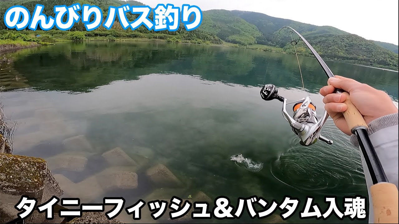 のんびりバス釣り タイニーフィッシュとバンタム274mに入魂できちゃった Youtube