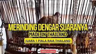 MASTERAN SUARA PERKUTUT BANGKOK JUARA DURASI PANJANG