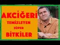 AKCİĞERİ TEMİZLEYEN BİTKİLER I  AKCİĞERİ GÜÇLENDİREN BESİNLER I AKCİĞERİ NE TEMİZLER