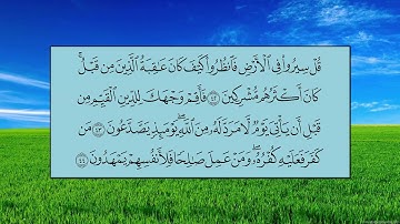 سورة الروم (الآية 33 ~ الآية 60) - ياسر بن راشد الدوسري