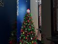 #chirstmastree #decoration #youtubeshorts