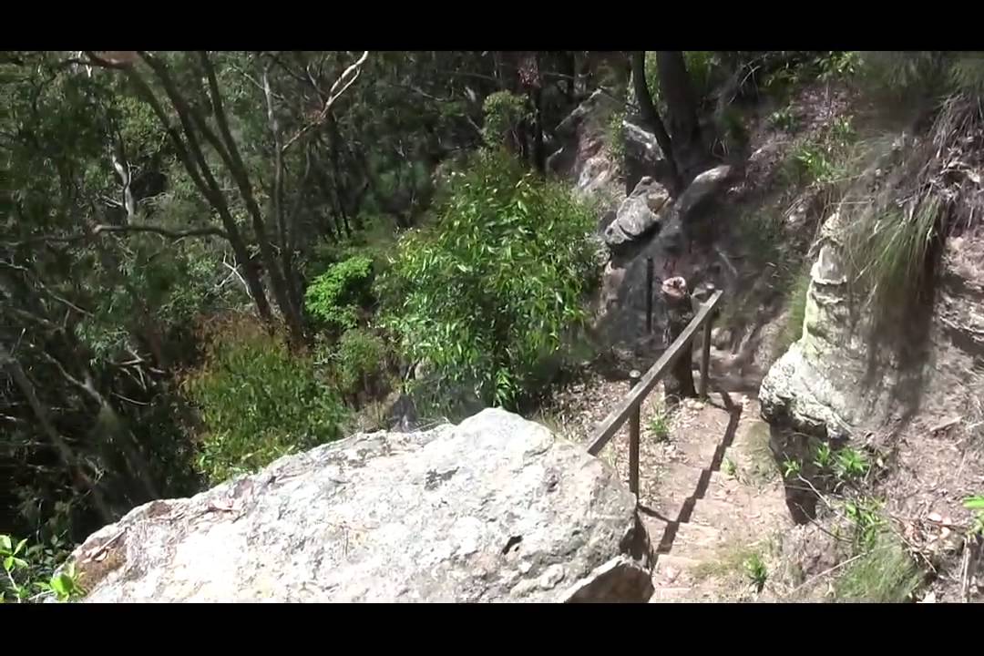 Heaton Lookout to Heaton Gap (Great North Walk)