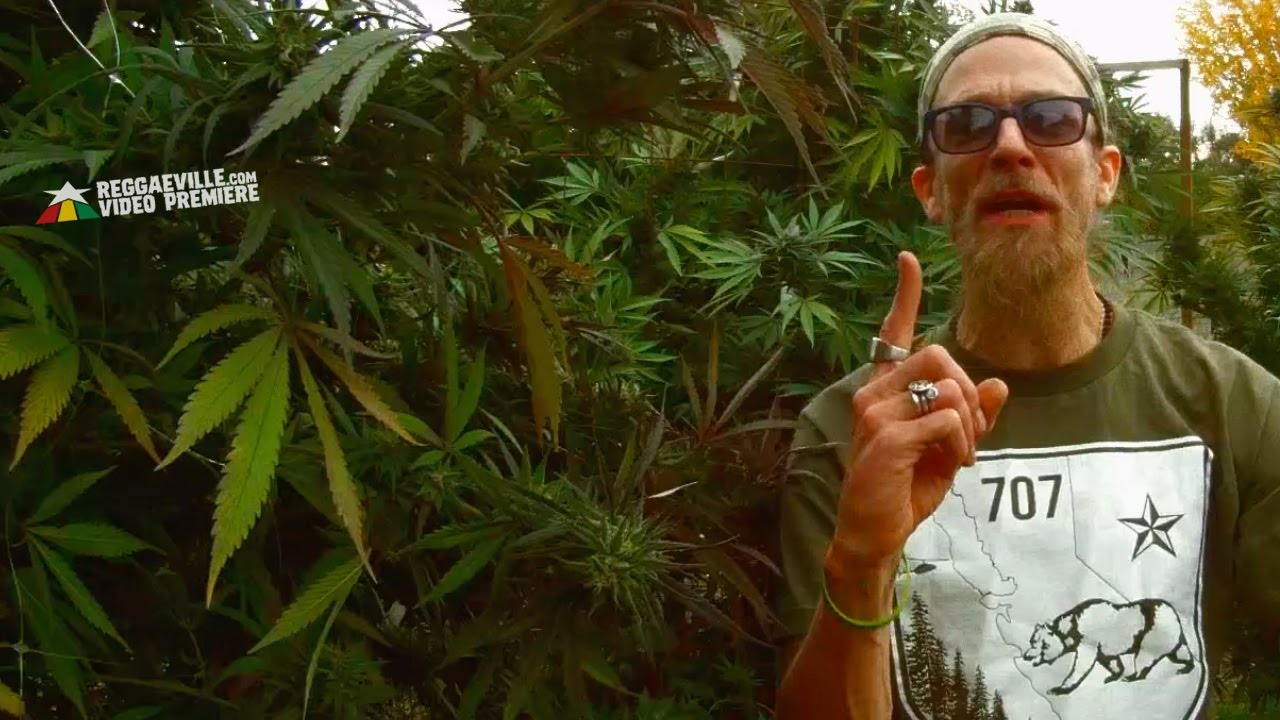 Rocker-T - Tru Ganjaman [Official Video 2017]