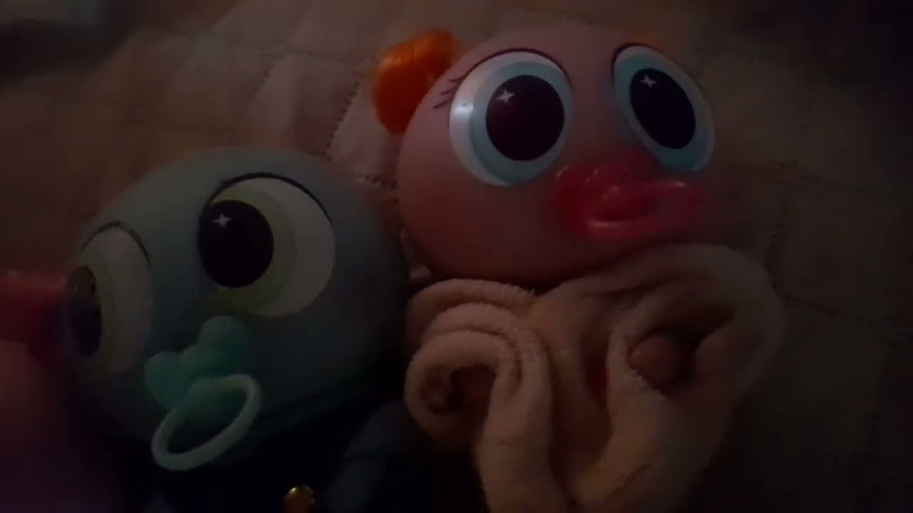 Día de frío, cómo cuidar a tus ksimeritos en días de frío o lluvia!!!!