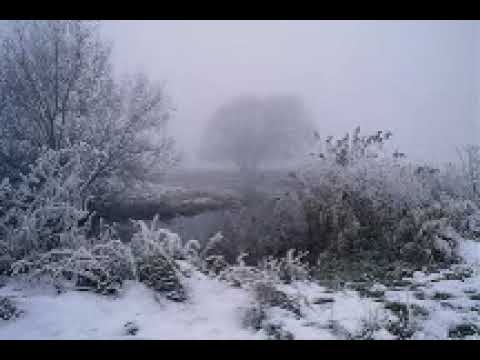 الشيخ خالد الراشد خطبة كاملة بعنوان وقفة