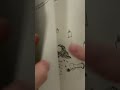 ASMR Reading You To Sleep