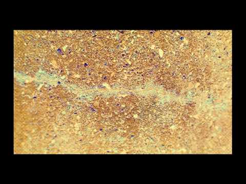 Nikusha - კორელაცია