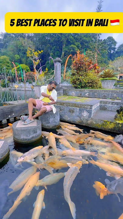 5 Best Places to Visit in Bali - Indonesia 🇮🇩#ytshorts #shorts #trending