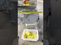 potato slicer