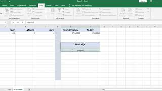 Amazing Age Calculator in Microsoft Excel screenshot 2