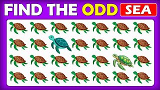 Find The Odd One Out 🔥 | Sea Animals Edition 🐟