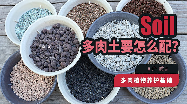 【8】多肉植物 | 【新手必看】养多肉的土该怎么配？ - 天天要闻