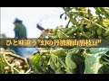 丹波篠山黒枝豆の魅力、美味しさの秘密3分動画【JA丹波ささやま】