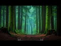 ADHD Forest Music Part 2: Focus &amp; Calm Nature Sounds for Concentration