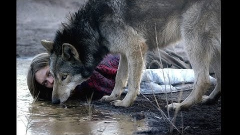 『ワイルド わたしの中の獣』映画オリジナル予告編 （15歳未満は見ちゃダメ）