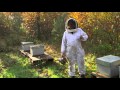 Stung By Climate &bull;  Episode 1: France The Bee Whisperer