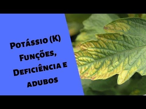 Vídeo: Potássio: Fontes, Deficiências, Overdose, Tratamento E Muito Mais