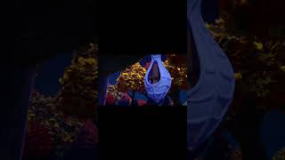 Team Spidey saves Nocturnal Animals/ marvels spidey and his amazing friends