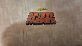 INDOOR CANNABIS GROW UPDATE. SPIDER FARMER AND AC INFINITY GROW TENTS