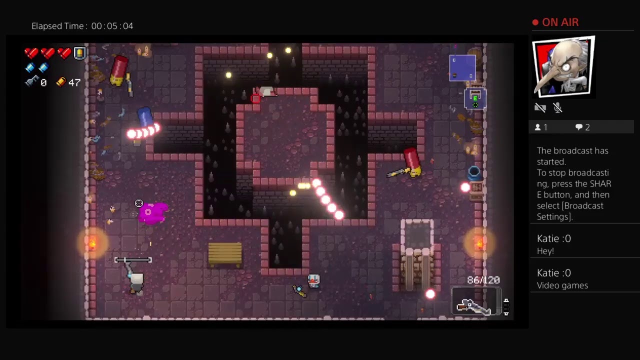 Enter the Gun-Dungeon