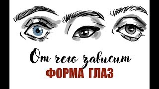 От чего зависит форма глаз От чего зависит форма глаз